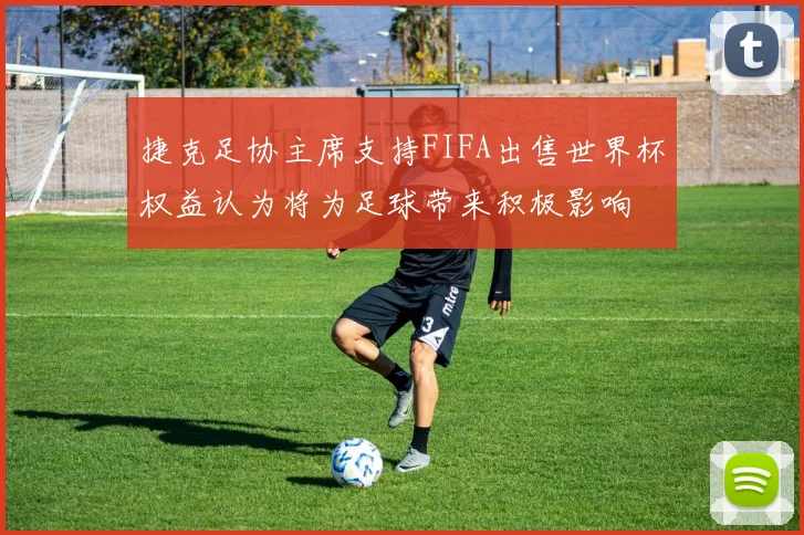 捷克足协主席支持FIFA出售世界杯权益认为将为足球带来积极影响
